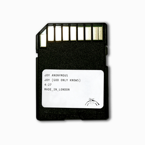 他用手抓着我的大奶子,一手摸着我的逼逼
