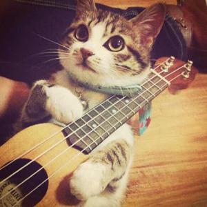 他用手抓着我的大奶子,一手摸着我的逼逼
